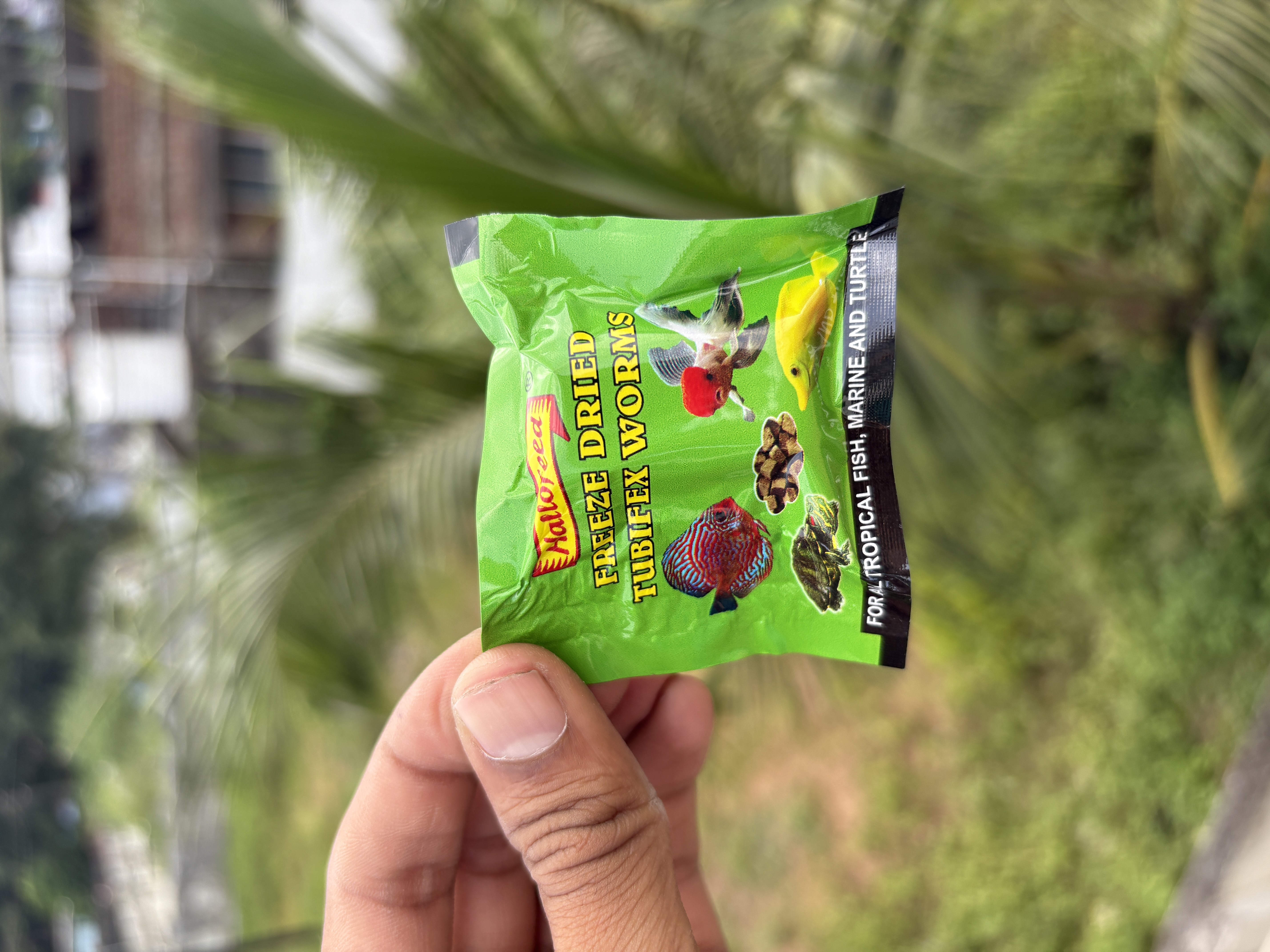Main Product Image